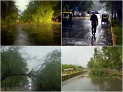 Delhi Rain: दिल्ली-NCR में बारिश से राहत, आंधी बनी आफत, कई जगह उखड़े पेड़, फ्लाइट्स पर भी असर, देखें तस्वीरें