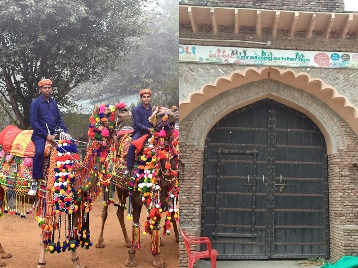 Pratapgarh Farm, Located Just A Few Hours Away From Delhi, Is Best For Picnics | Delhi-NCR से कुछ ही दूरी पर स्थित है ये शानदार पिकनिक स्पॉट, जहां आप ले सकते हैं