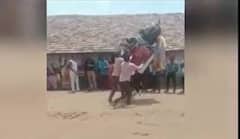 મહીસાગરના ખાનપુરમાં વરરાજાને ઘોડેસવારી પડી ભારે, થયો આવો હાલ, જુઓ વીડિયો