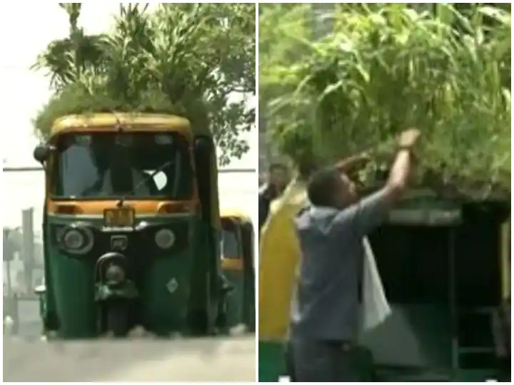 ਗਰਮੀ ਤੋਂ ਬਚਣ ਲਈ ਆਟੋ ਚਾਲਕ ਨੇ ਕੱਢਿਆ ਅਨੋਖਾ ਜੁਗਾੜ, ਆਟੋ ਦੀ ਛੱਤ 'ਤੇ ਬਣਾਇਆ ਛੋਟਾ ਜਿਹਾ ਗਾਰਡਨ