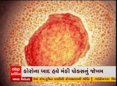 કોરોના બાદ હવે મંકી પોક્સનું જોખમ