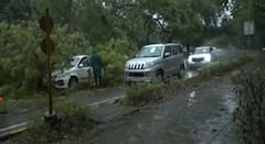 ਕਿਤੇ ਰਾਹਤ ਤੇ ਕਿਤੇ ਆਫਤ ਬਣ ਕ ਵਰ੍ਹਿਆ ਮੀਂਹ, ਡਿੱਗੇ ਰੁੱਖ, ਨੁਕਸਾਨੇ ਵਾਹਨ