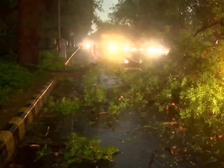 Due to the strong winds, trees got uprooted in some parts of the national capital. (Image Source: ANI)