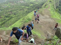 Lonavla forest: 600-க்கும் மேற்பட்டோர் காணாமல்போன லோனாவாலா மலைக்காடுகள்.. என்னதான் நடக்குது அங்க?