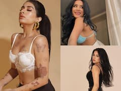 In Pics: खूबसूरती के मामले में बॉलीवुड हसीनाओं को टक्कर देती हैं ये पंजाबी एक्ट्रेस, तस्वीरें कर देंगी मदहोश