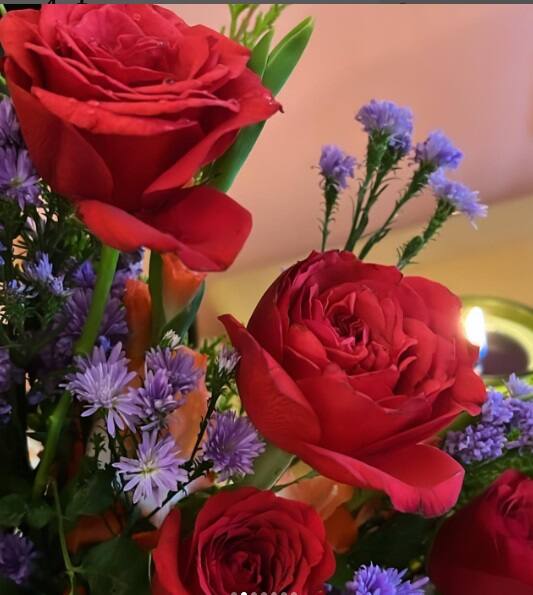 নিজের সোশ্য়াল মিডিয়া হ্যান্ডলে জন্মদিন উপযাপনের ছবি পোস্ট করেছেন সুহানা খান। কোথাও ডিজাইনার পোশাকে তাঁকে দেখা যাচ্ছে। কোথাও আবার তাঁর ক্যামেরায় বন্দি হয়েছে ফুলের তোড়া থেকে ঘরের সাজ।