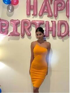 Suhana Khan Birthday Celebration: સુહાના ખાને મિત્રો સાથે મનાવ્યો 22મો જન્મદિવસ, શેર કરી ખાસ તસવીરો