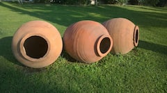 Clay Pot Water benefits: মাটির পাত্রে জল রেখে খাওয়া স্বাস্থ্যের জন্য উপকারী নাকি ক্ষতিকর?