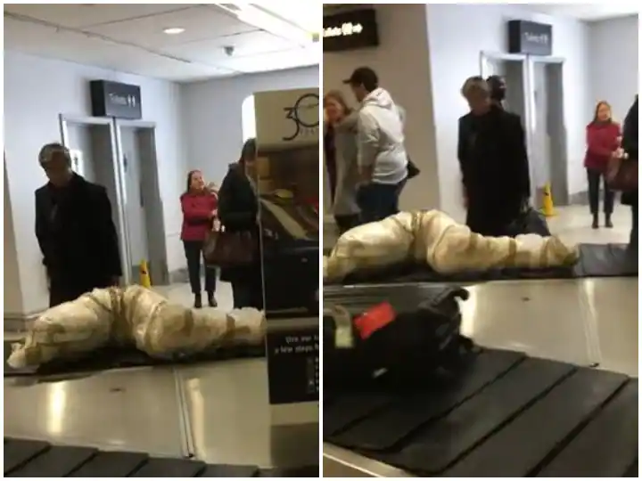 ਏਅਰਪੋਰਟ 'ਤੇ ਕਾਗਜ਼ 'ਚ ਲਿਪਟਿਆ ਦਿੱਸਿਆ ਲਾਸ਼ ਵਰਗਾ ਅਜੀਬੋ ਗਰੀਬ ਸਾਮਾਨ, ਸੱਚ ਜਾਣ ਕੇ ਰਹਿ ਜਾਓਗੇ ਹੈਰਾਨ