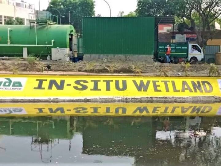 Noida wetland has been built at cost of crores will be helpful in preventing pollution ANN Noida Wetland: करोड़ों की लागत से नोएडा का पहला वेटलैंड बनकर तैयार, प्रदूषण को रोकने में होगा मददगार