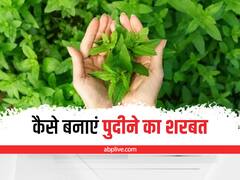 Kitchen Hacks: गर्मी में पिएं पुदीने का शरबत, पेट दर्द और जलन में मिलेगा आराम, ये है रेसिपी