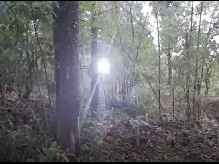 Sensor siren installed in Tilari valley to prevent elephants, farmers will get alert Sindhudurg Agriculture : हत्ती गावाच्या वेशीवर येताच मिळणार अलर्ट, पाहा शेतकऱ्यांनी काय केली उपाययोजना?