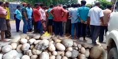 East Burdwan: মেমারিতে হিমঘরে আলু রাখার পরেও ধরছে পচন, কৃষকদের নিশানায় কর্তৃপক্ষ