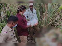 Nashik News : नाशिकमध्ये बिबट्याचा धुडगूस सुरूच, हल्ल्यात मजूर युवकाचा मृत्यू