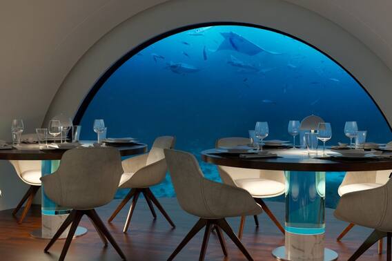 Dive & Dine: This Restaurant From Future Lets You Dine 200 Metres Under ...