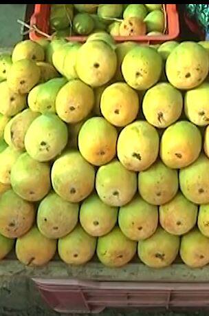 हापूस आंब्याची किंमत सध्या स्थानिक बाजारात पडलेली दिसून येत आहे