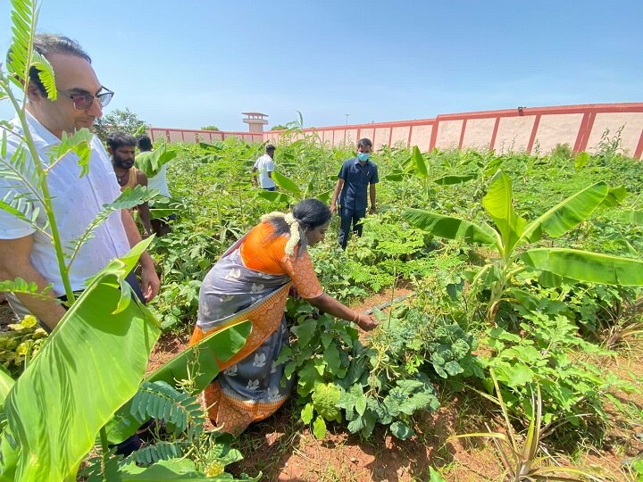 கைதிகளால் விளைவிக்கப்பட்ட காய்கறிகள், பழங்கள்.. நெகிழ்ந்து பேசிய ஆளுநர் தமிழிசை