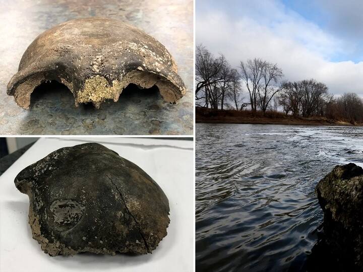 8000 years old man skull has been found in minnesotta river in america ஆற்றில்  மிதந்த மண்டை ஓடு.. 8000 ஆண்டுகள்.. ஆய்வில் வெளியான ஷாக் தகவல்கள்!
