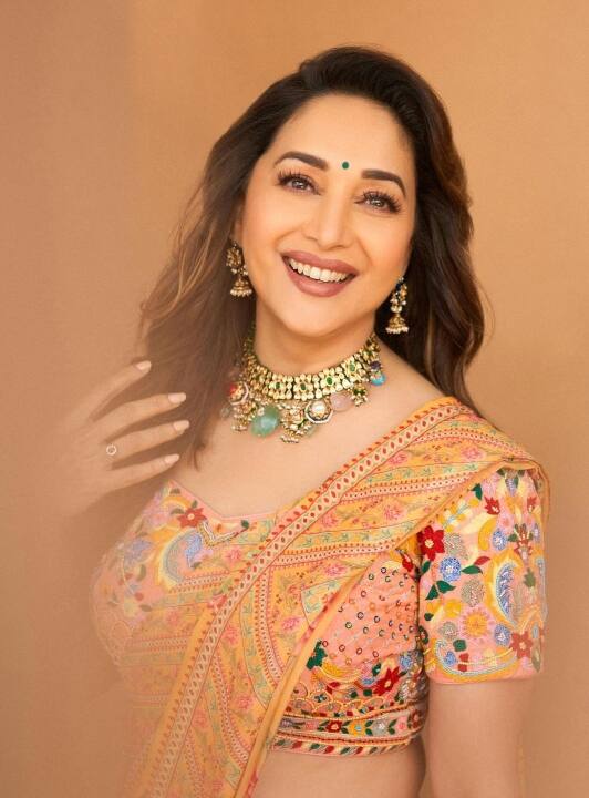 'झलक दिखला जा' जैसे डांस रियलिटी शो को माधुरी दीक्षित (Madhuri Dixit) भी जज कर चुकी हैं. रिपोर्ट्स के मुताबिक, शो के 7वें सीजन तक उन्हें प्रति एपिसोड 1 करोड़ की फीस मिली.