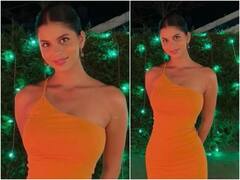 Suhana Khan Birthday Celebration: सुहाना खान ने दोस्तों के साथ मनाया 22वां जन्मदिन, शेयर की खास तस्वीरें