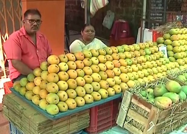 Mango News : हापूसला मिळतोय 150 ते 300 रुपयांचा दर, शेतकऱ्यांना फटका, अपेक्षीत दर किती?