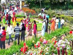Kodaikanal : கொடைக்கானலில் தொடங்கியது 59-வது மலர் கண்காட்சி விழா..