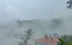 Shimla 'ਚ ਵੀ ਬਦਲਿਆ ਮੌਸਮ ਦਾ ਮਿਜ਼ਾਜ, ਸੈਲਾਨੀ ਹੋਏ ਖ਼ੁਸ਼