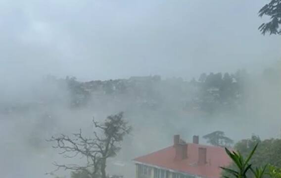 Shimla 'ਚ ਵੀ ਬਦਲਿਆ ਮੌਸਮ ਦਾ ਮਿਜ਼ਾਜ, ਸੈਲਾਨੀ ਹੋਏ ਖ਼ੁਸ਼