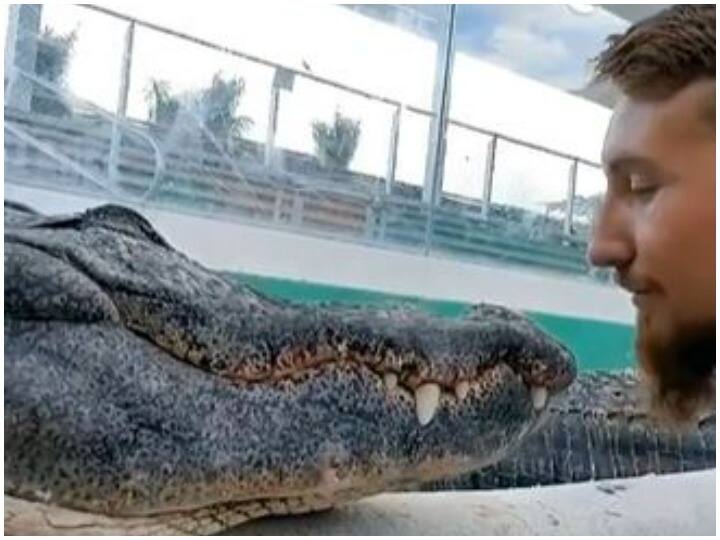 man fun with crocodile give kiss viral video Viral Video: मगरमच्छ के साथ मस्ती करता नजर आया शख्स, किस भी किया