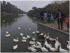 Delhi News: अब दिल्ली बनेगी 'झीलों का शहर’, 20 झीलों का अंतर्राष्ट्रीय स्तर पर किया जाएगा संरक्षण एवं विकास