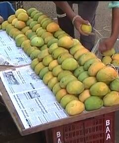 Photo : हापूसला मिळतोय 150 ते 300 रुपयांचा दर, शेतकऱ्यांना बसतोय फटका