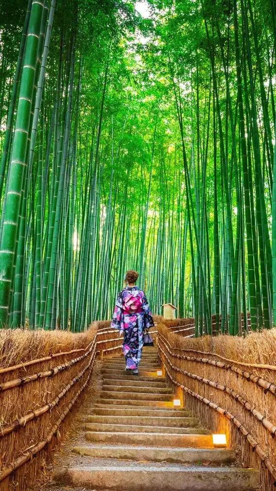 தனியாக பயணம் செய்ய விரும்பும் பெண்களுக்கான டிப்ஸ்!