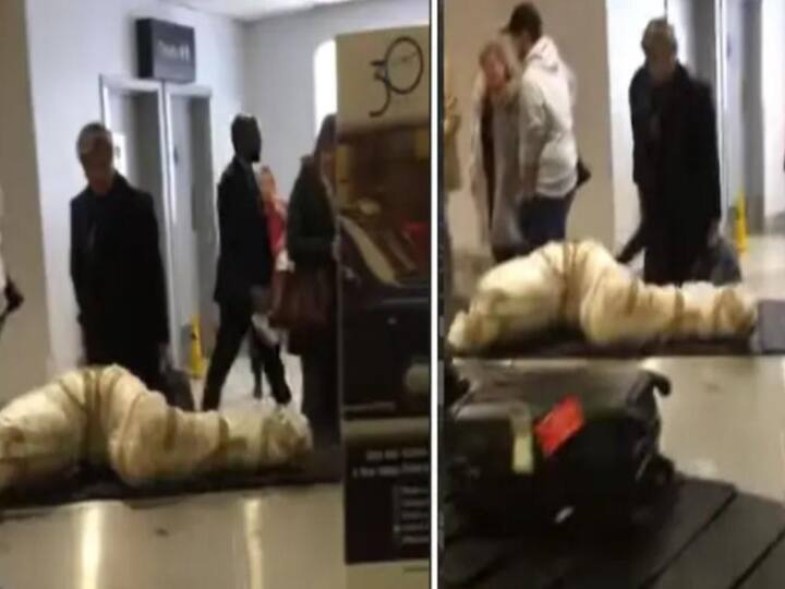 Londan airport wrapped body shaped object on conveyor-belt Londan : கன்வேயர் பெல்ட்டில் வந்தது சடலமா? அதிர்ச்சி அடைந்த பயணிகள் - வைரல் வீடியோ!