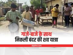 Rewa News: गाजे-बाजे के साथ निकली बंदर की शव यात्रा, अंतिम संस्कार में बड़ी संख्या में शामिल हुए लोग