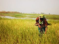 PM Kisan Scheme: થોડીવારમાં ખેડૂતોના ખાતામાં આવશે 2000 રૂપિયાનો 11મો હપ્તો