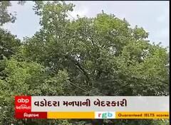 વડોદરા મનપાની બેદરકારી