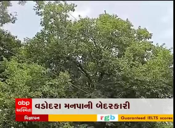 વડોદરા મનપાની બેદરકારી