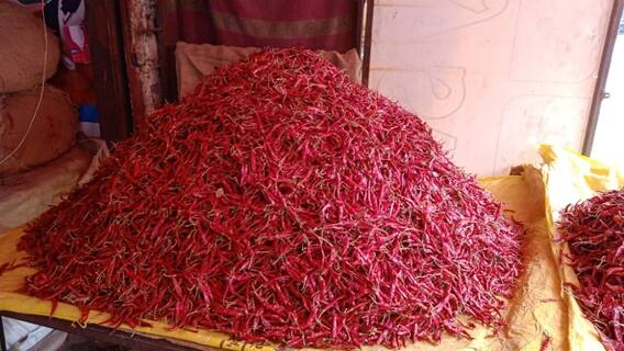 मिर्च भाव : लाल मिर्च के भाव में हुआ इजाफा, रसगुल्ला मिर्च का 600 रुपये प्रति किलो