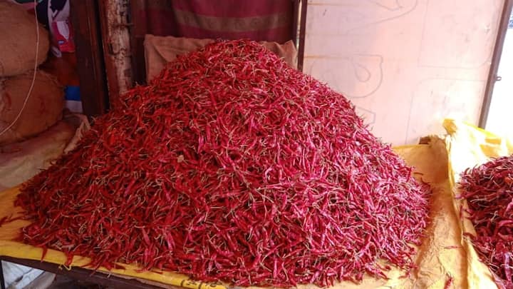 बाजारात तेजा मिरचीचे दर 230 रुपये प्रतिकिलो असल्याचे पाहायला मिळत आहे.