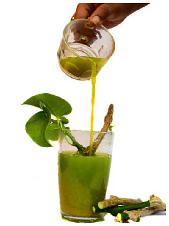 आयुर्वेदिक गुणों से भरपूर है गिलोय, जानें इसके 10 फायदे