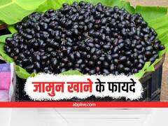 Health Tips: जामुन खाने के हैं ये फायदे, डायबिटीज और पथरी की समस्या भी होगी दूर