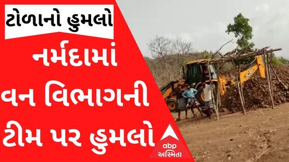 નર્મદામાં વન વિભાગની ટીમ પર થયો હુમલો, શું છે સમગ્ર મામલો?
