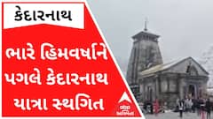 ABP News