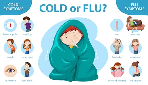 Flu Symptoms : गर्मी में फ्लू की परेशानी होने पर दिखते हैं ये लक्षण, तुरंत कराएं अपना इलाज