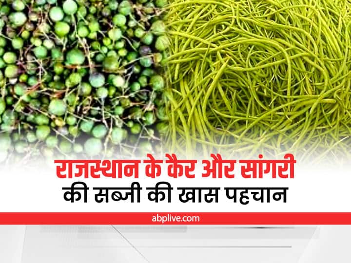 Rajasthan News: रेगिस्तान की औषधि कैर-सांगरी की विदेश में भी डिमांड, सूखने पर कई गुना ज्यादा हो जाती है कीमत Rajasthan News: Ker-Sangri demand increased in all over world, price becomes higher when dry ann Rajasthan News: रेगिस्तान की औषधि कैर-सांगरी की विदेश में भी डिमांड, सूखने पर कई गुना ज्यादा हो जाती है कीमत