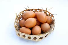 Food after Delivery : डिलीवरी के बाद जल्दी करना चाहते हैं रिकवरी? तो डाइट में शामिल करें ये हेल्दी चीजें