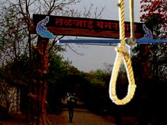 Maharashtra Pune crime News: तळजाई जंगलात आढळला मृतदेह, परिसरात भीतीचं वातावरण