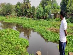 Durg News: बरसाती बीमारियों का डर, स्वास्थ्य विभाग अलर्ट- देखें तस्वीरें