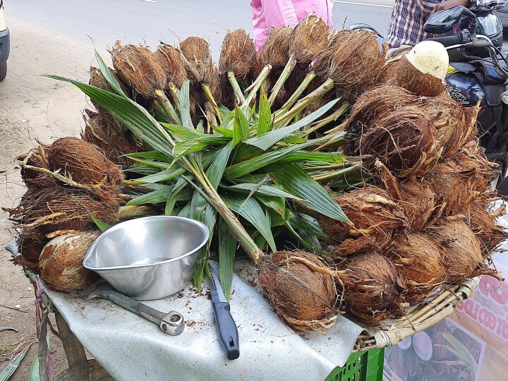 ருசி மட்டுமில்ல.. ஆரோக்கியம் அதிகம்! வியாதிகளை தூரவிரட்டும் தேங்காய்ப்பூ!!