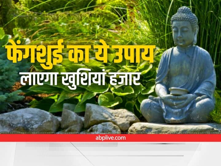 Fengshui tips for money luck and prosperity bamboo plants benefits Fengshui Tips: घर में लगाएं ये छोटा सा पौधा, धन और खुशियों से भर जाएगा घर